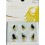 Heimische Vögel 2016-2021 Komplettsatz 6x 20 Euro Gold  Deutschland mit Box und Zertifikat