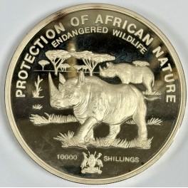 1 Kilo Rhinozerus African Wildlife 1993 Silbermünze